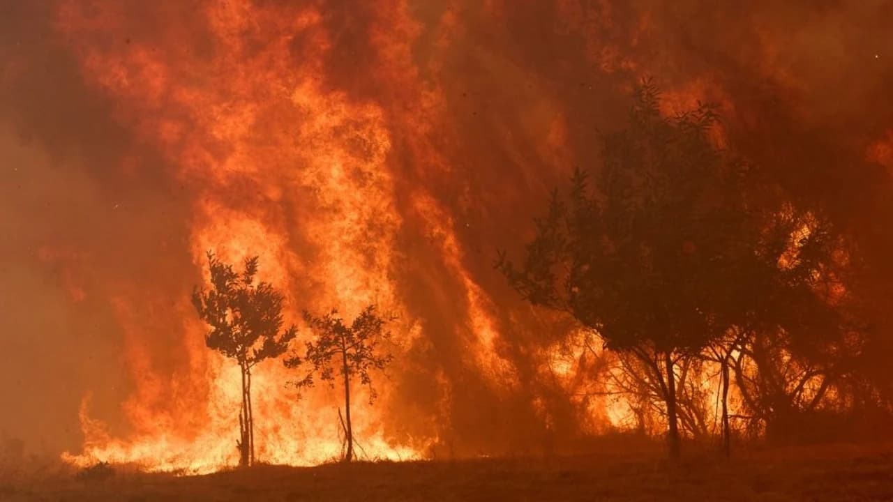 Zjarret në Evropë dalin jashtë kontrollit, shkencëtarët paralajmërojnë skenarë si “Ferri i Dantes”